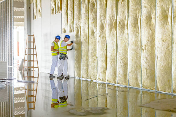 Insulation Inspection Services in Atkins, VA